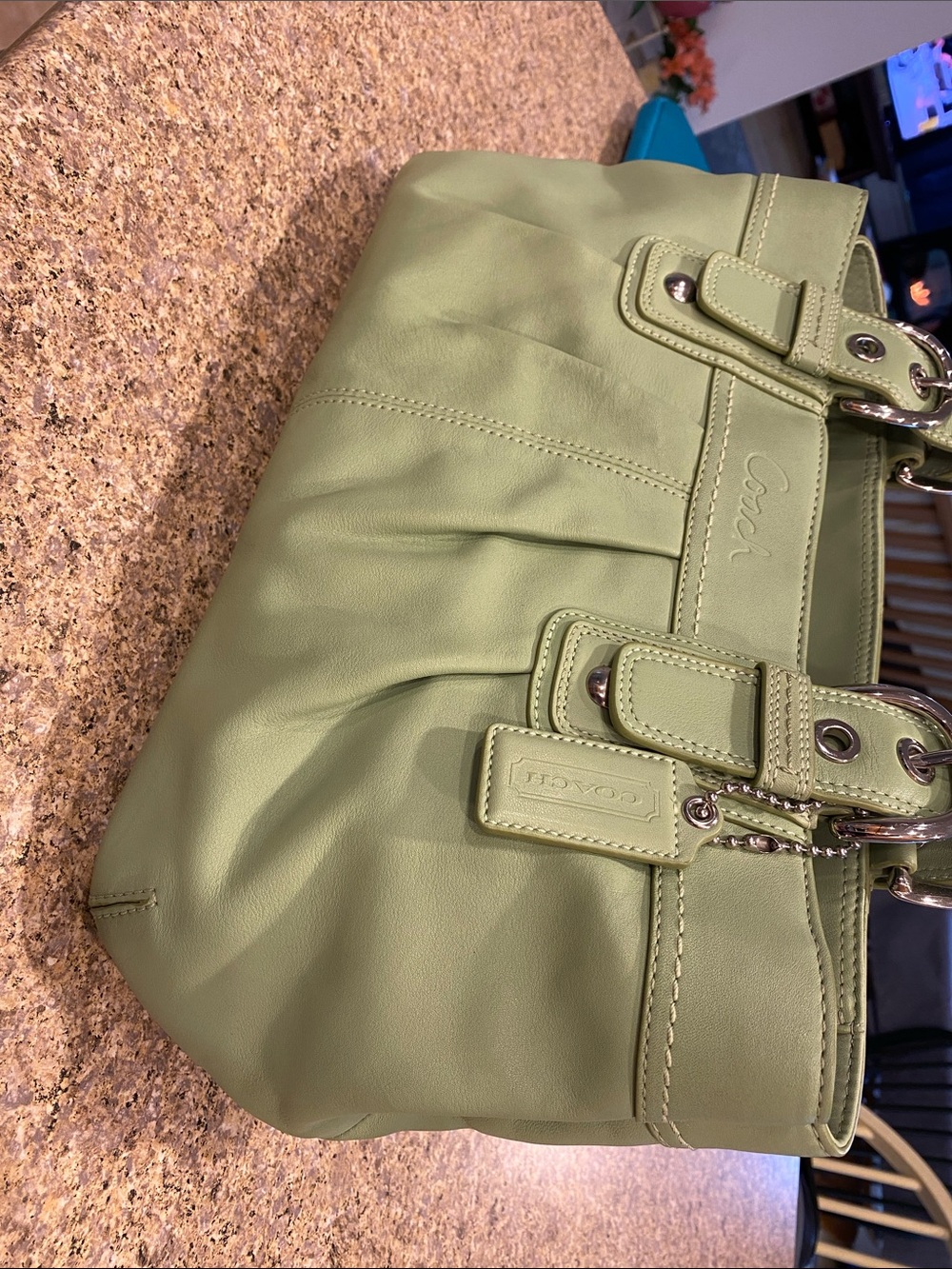 Coach Shoulder Leather Bag Purse Green F13732 Silver Colored Hardware - Picture 9 of 17